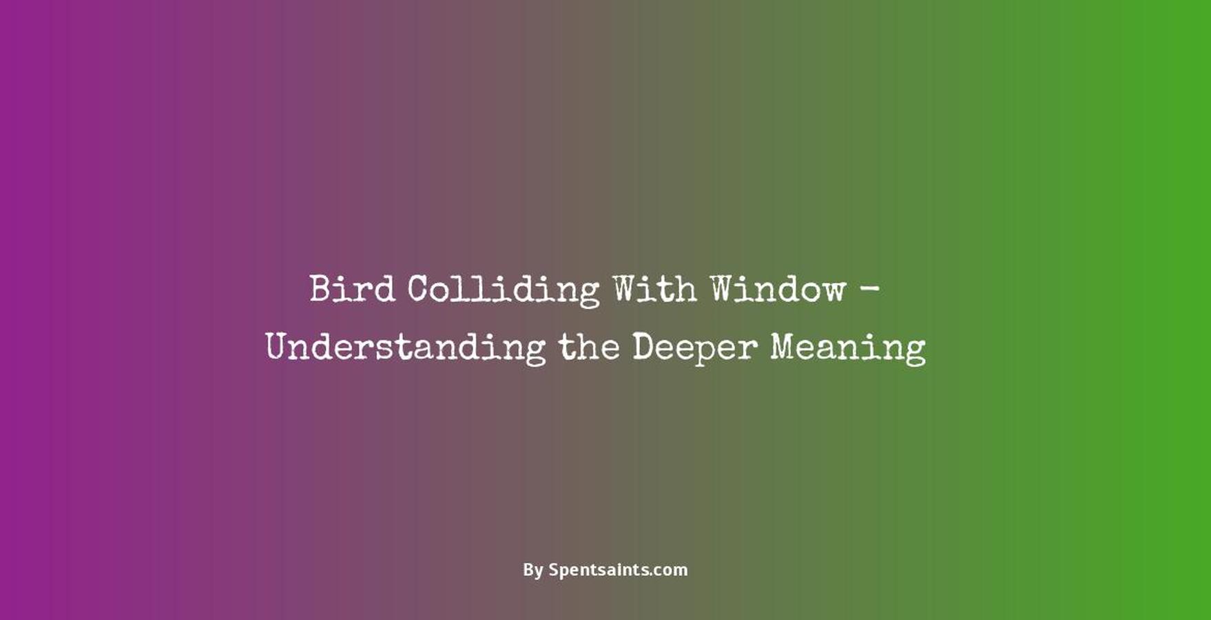 bird hitting window meaning