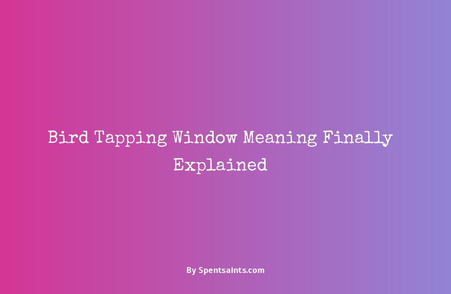 bird tapping window meaning