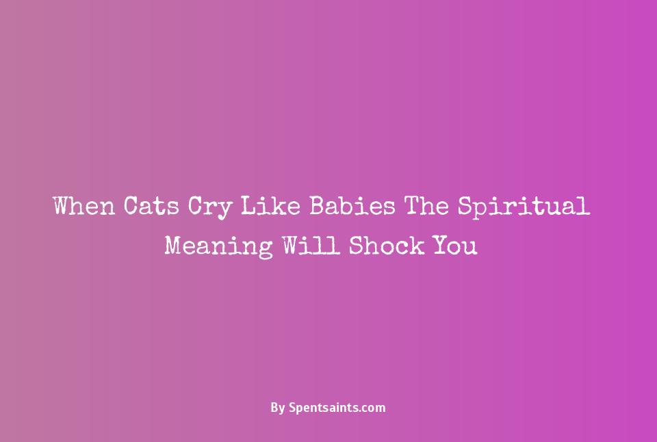 cats crying like babies what does it mean spiritually