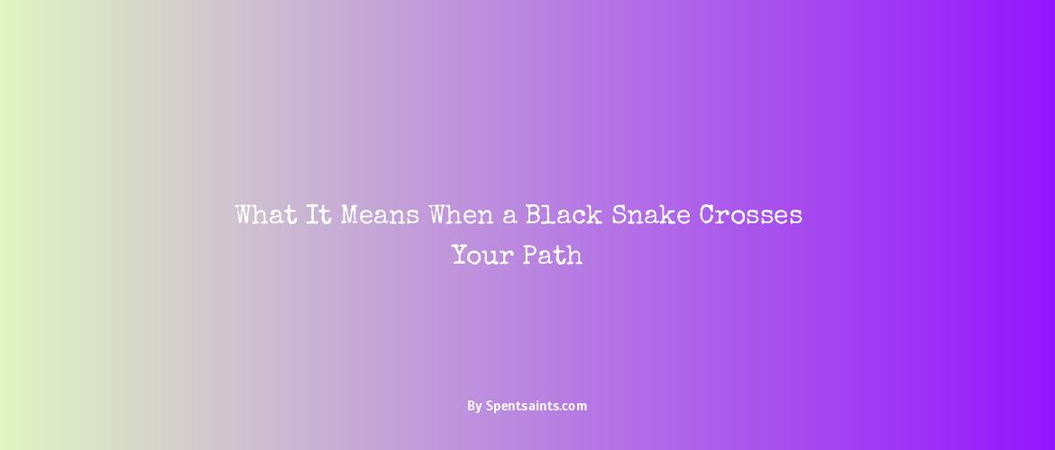 meaning of seeing a black snake in your path