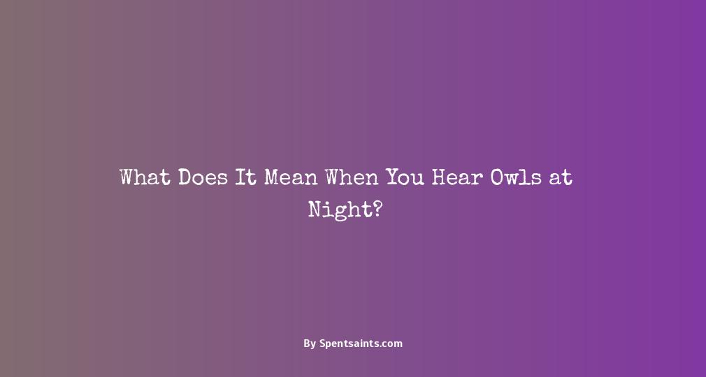 owls at night meaning
