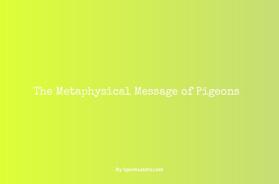 the meaning of pigeons