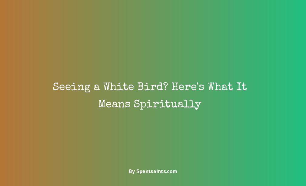what does it mean when you see a white bird