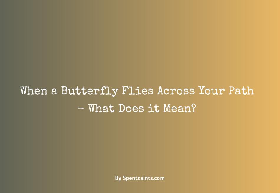 what does it mean when a butterfly crosses your path