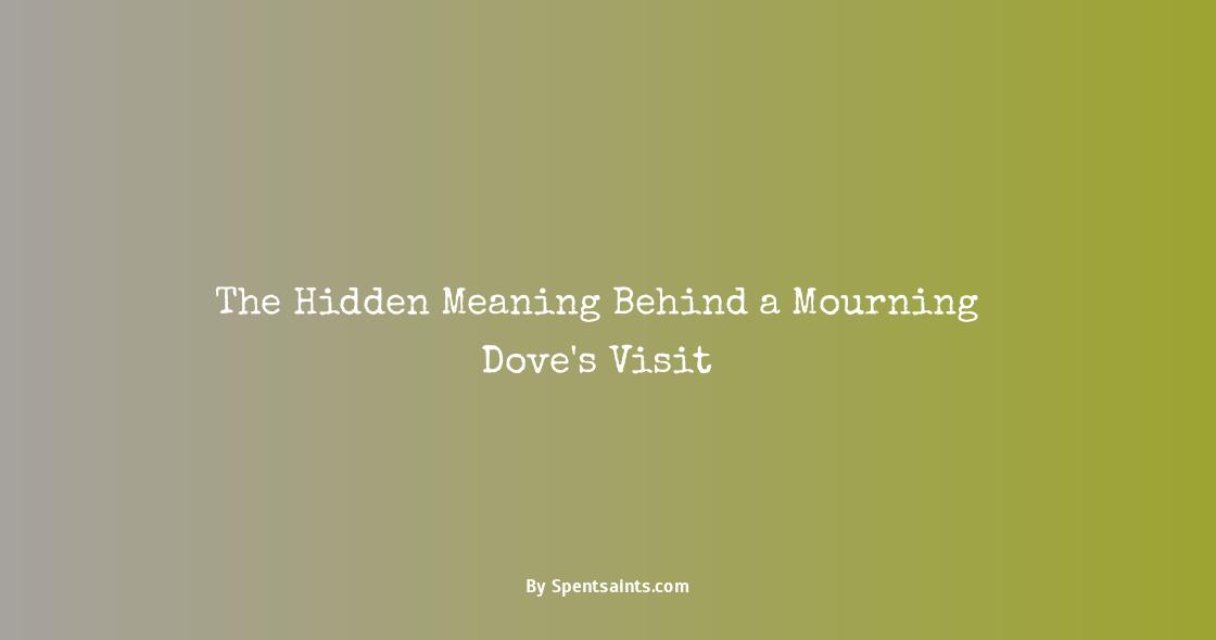 what does it mean when a mourning dove visits you