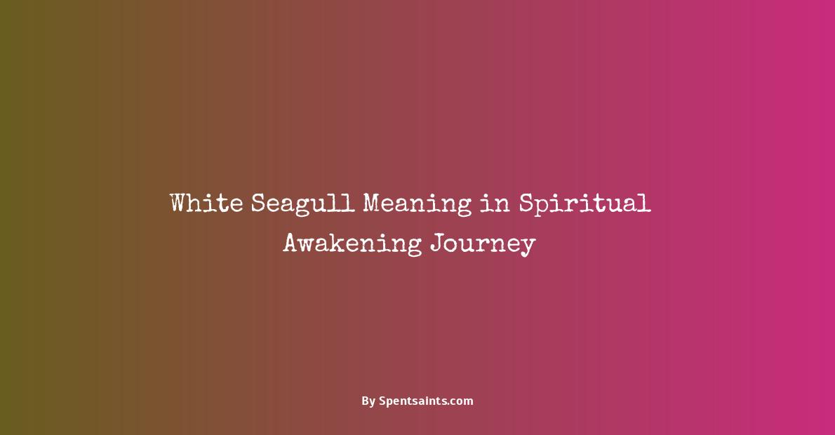 white seagull spiritual meaning